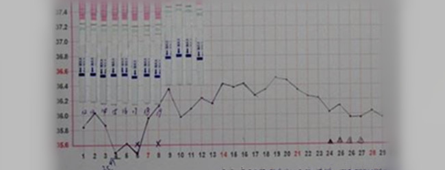 有經(jīng)驗(yàn)的工廠